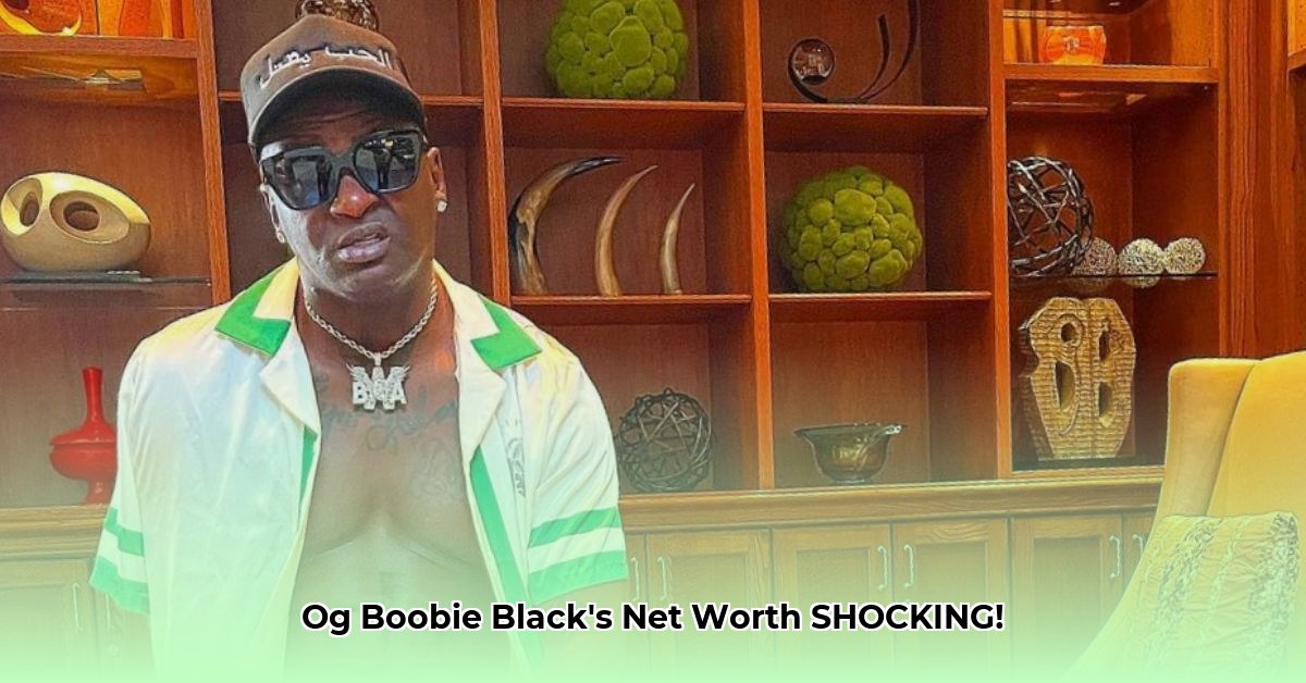 boobie-black-net-worth